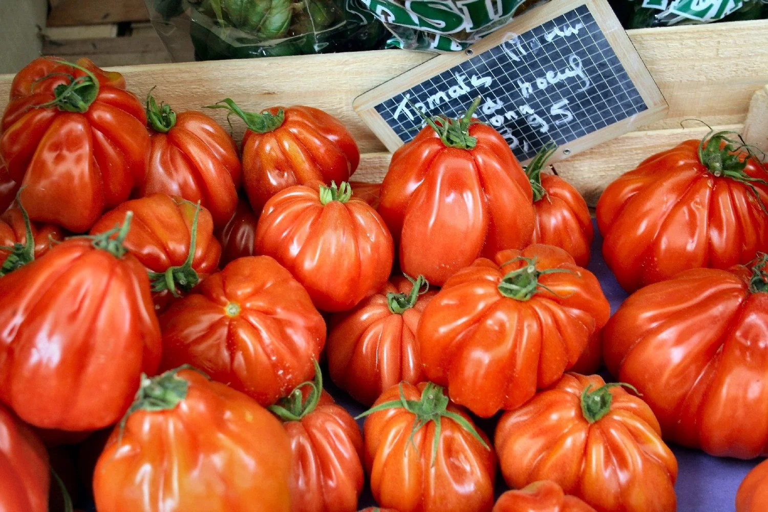 SAFLAX BIO Tomatensamen Ochsenherz Fleischtomate