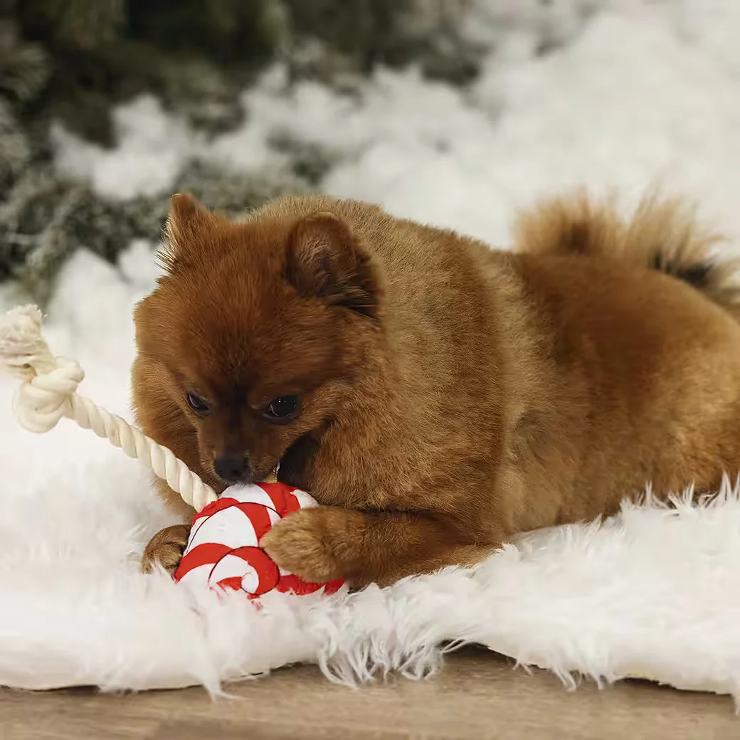 BEEZTEES Hundespielzeug Plüsch Weihnachts Lolly rot weiß