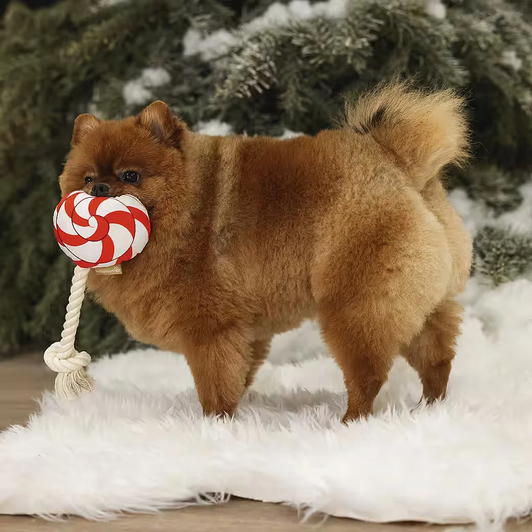 BEEZTEES Hundespielzeug Plüsch Weihnachts Lolly rot weiß