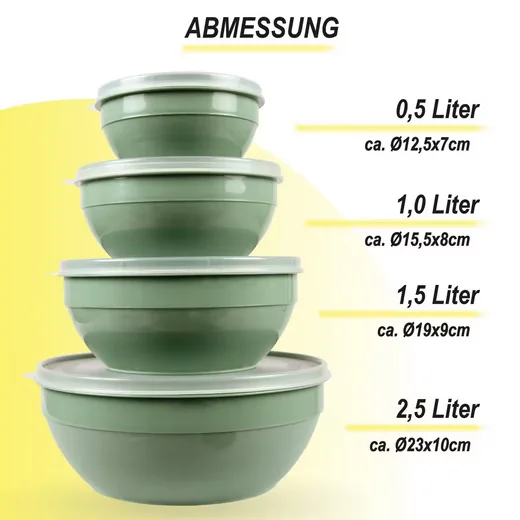 PRO HOME Vorratsdosen Set 4-teilig mit Deckel 0,5-2,5 L