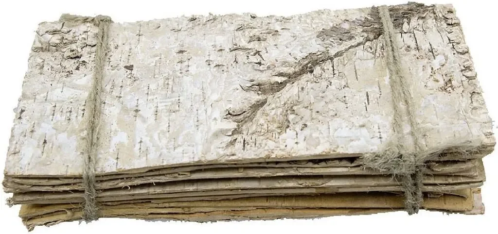 Schreiber Deko Birkenplatte flach natur 19x9 cm 10 Stück Naturholz