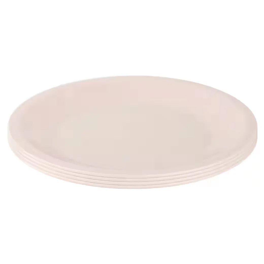 ENGELLAND Plastikteller 23,5 cm flach BPA frei wiederverwendbar