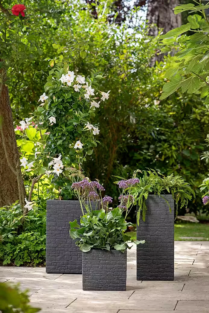Scheurich Blumentopf Muretto 40/246 Pflanztopf Übertopf
