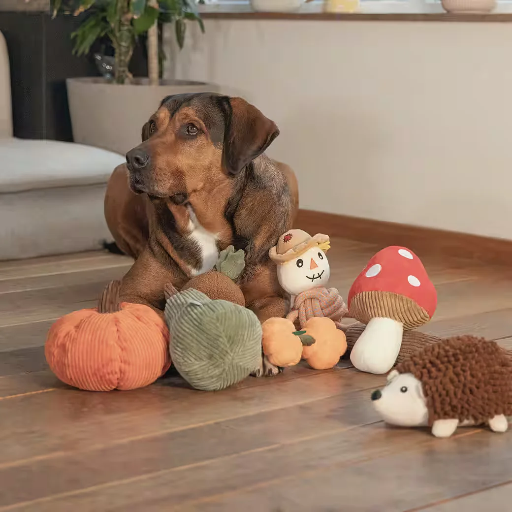 BEEZTEES Hundespielzeug Koba Kürbis aus Cord orange Kuscheltier