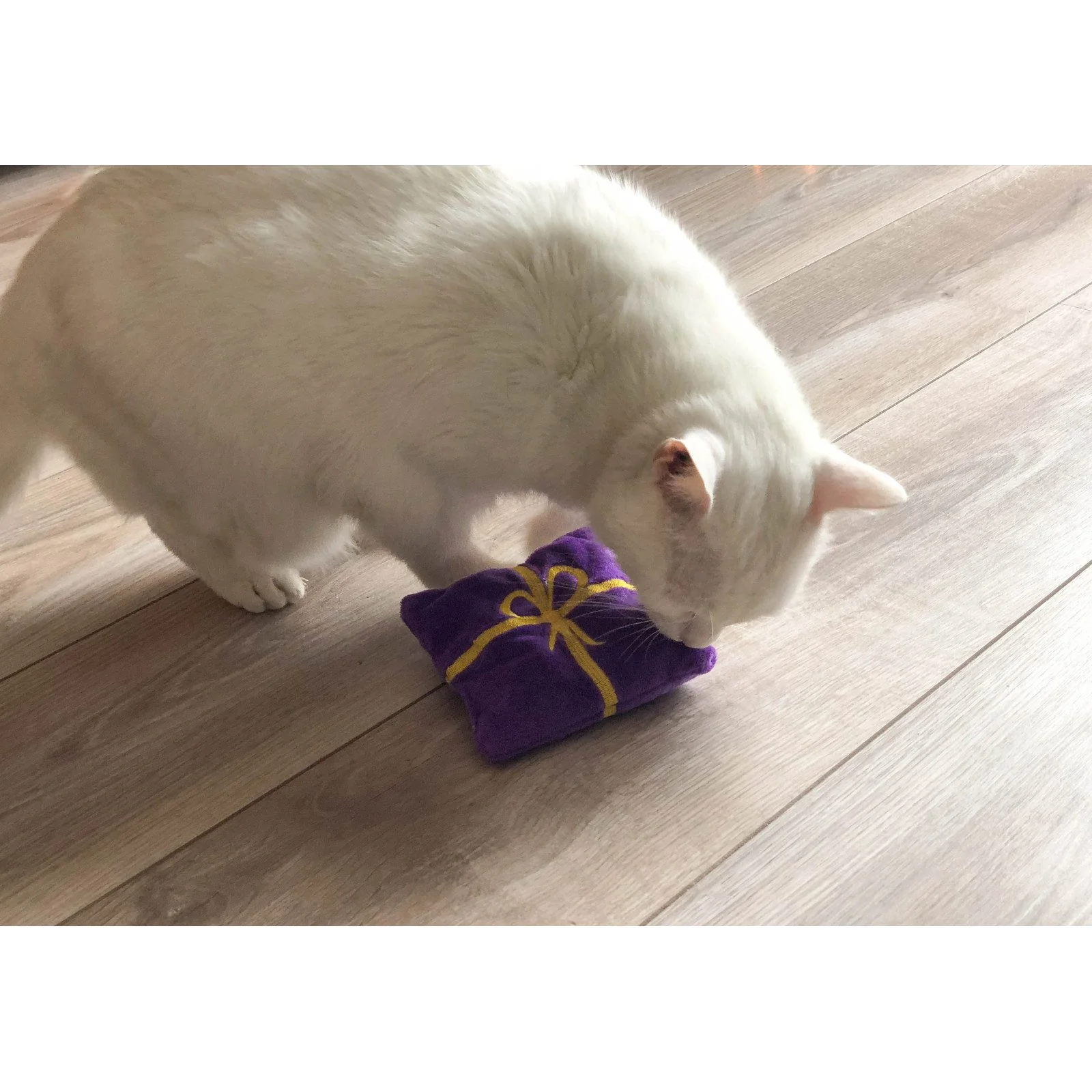 AUMÜLLER Katzenspielkissen mit Baldrian lila Weihnachtsgeschenk