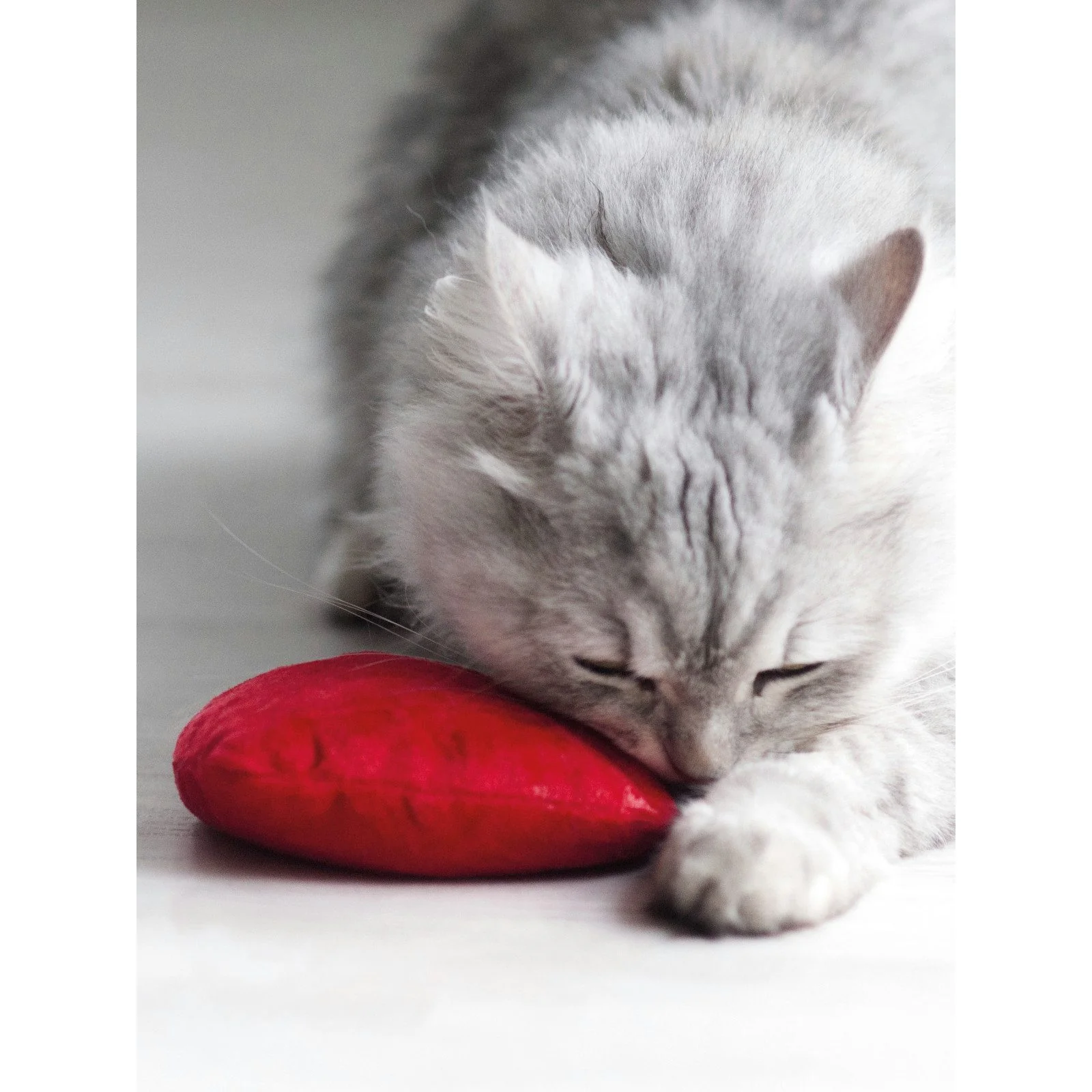 AUMÜLLER Katzenspielkissen Baldi-Herz aus rotem Schmuseplüsch