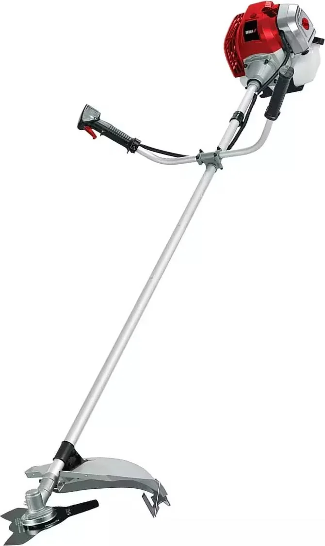 Dedra 1250 W Verbrennungsmotor, 43 cm3, 2 Takt